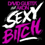 David Guetta feat. Akon - Sexy Bitch